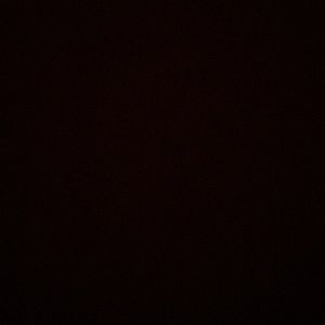 Meet your Posher, Noah